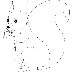 Squirrel & Acorn