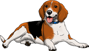 Beagle