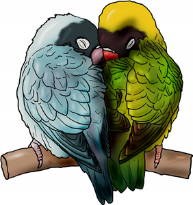 Love Birds