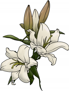 White Lillies