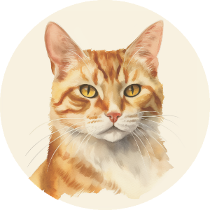 Ginger Tabby Cat