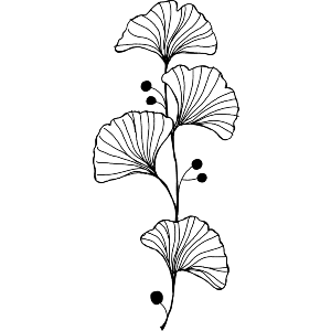 Ginkgo Biloba Leaf