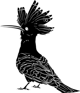 Eurasian Hoopoe Bird