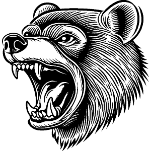 Angry Bear
