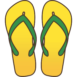 Pair of Flip Flops