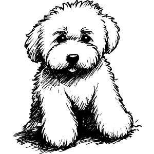 Golden Doodle