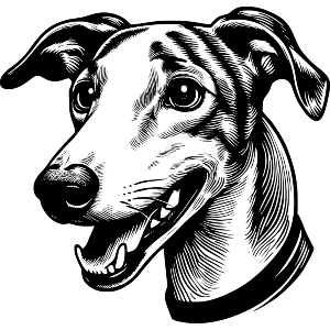 Greyhound Portrait