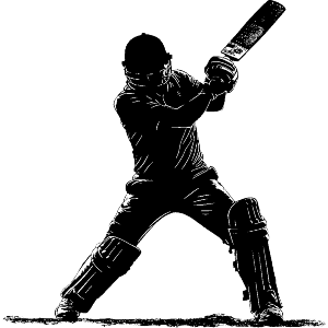 Cricket Player 