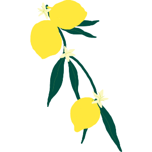 A Lemon And Blossom Branch