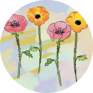 Colourful Poppies