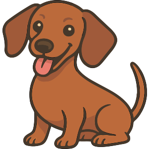Miniature Dachshund Dog