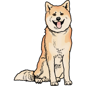 Akita Inu Sitting Dog