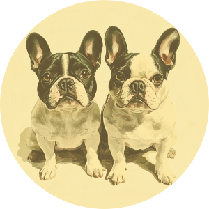 Two French Bulldogs Portrait