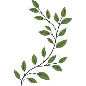Greek Green Leaf Branch