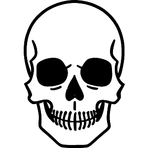 Pirate Skull