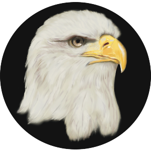 American Eagle