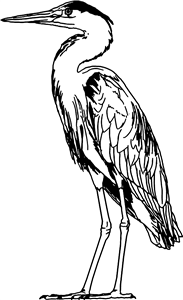 Heron