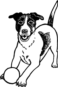 Playing Jack Russell