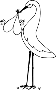 Stork Carrying Twins