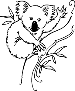 Waving Koala