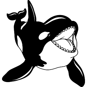 Happy Orca Whale
