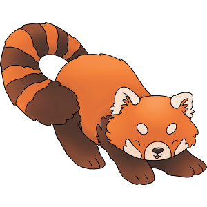 Playful Red Panda