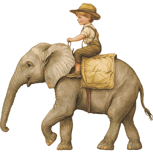 Boy Riding an Elephant