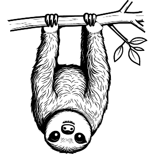 Sloth Hanging