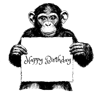 Happy Birthday with Chimpanzee