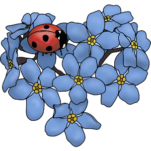 Ladybird On Forget-Me-Nots