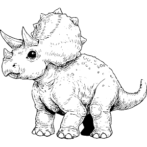 Baby Triceratops