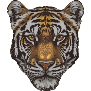 Tiger Portrait