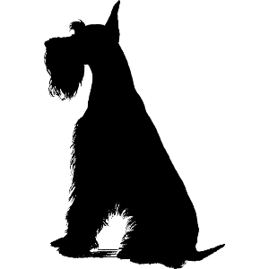 Giant Schnauzer Sitting Silhouette