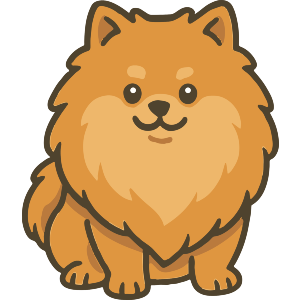 Pomeranian Dog