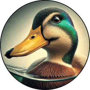 Smiling Mallard Duck