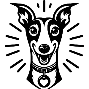Happy Whippet Dog Portrait