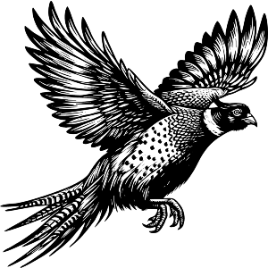 Flying Pheasant