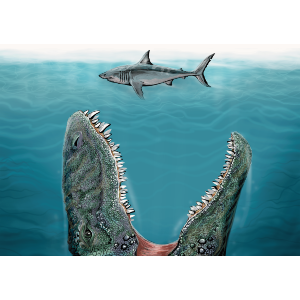 Mosasaurus Dinosaur & Shark