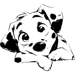 Cute Dalmation Puppy Front View