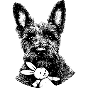 Scottish Terrier with Bunny Toy