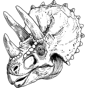 Triceratops Dinosaur Head
