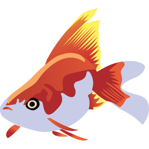 Brilliant GoldFish