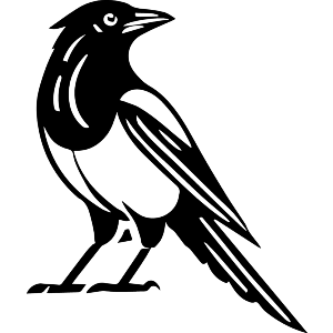 Standing Magpie