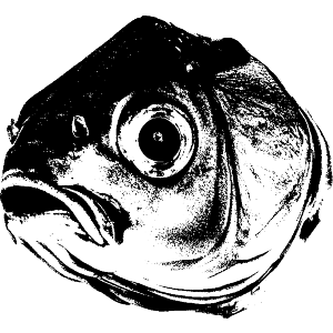 Fish Head