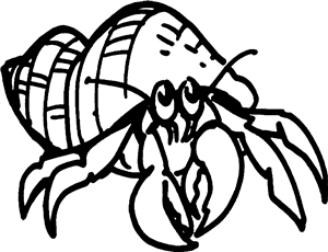Hermit Crab