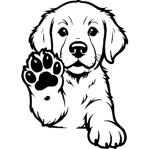 Adorable Golden Retriever Puppy