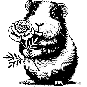 Guinea Pig Holding Marigold