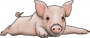 Lazy Piglet