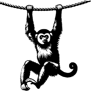 Gibbon On Rope