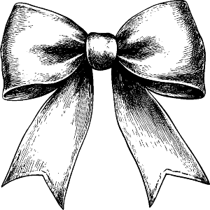 Coquette Bow